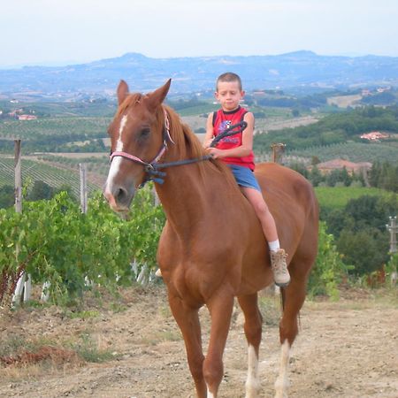 Agriturismo Podere La Marronaia Σαν Τζιμινιάνο Εξωτερικό φωτογραφία