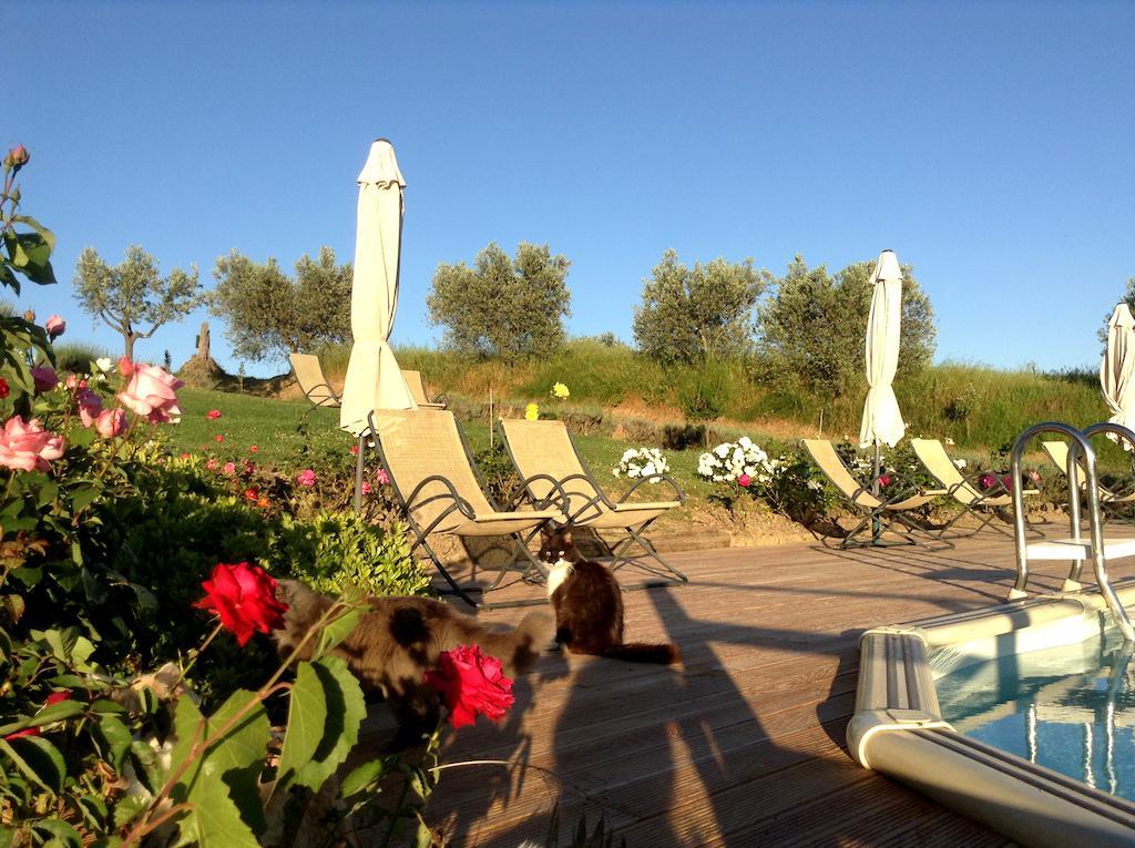 Agriturismo Podere La Marronaia Σαν Τζιμινιάνο Εξωτερικό φωτογραφία