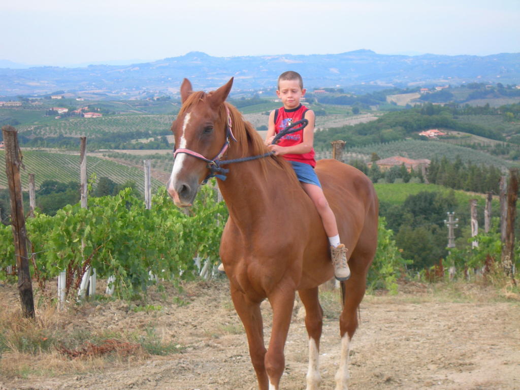 Agriturismo Podere La Marronaia Σαν Τζιμινιάνο Εξωτερικό φωτογραφία
