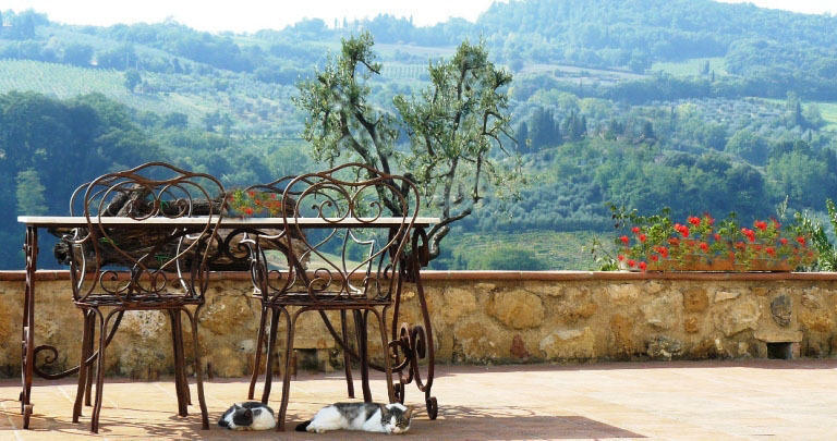 Agriturismo Podere La Marronaia Σαν Τζιμινιάνο Εξωτερικό φωτογραφία