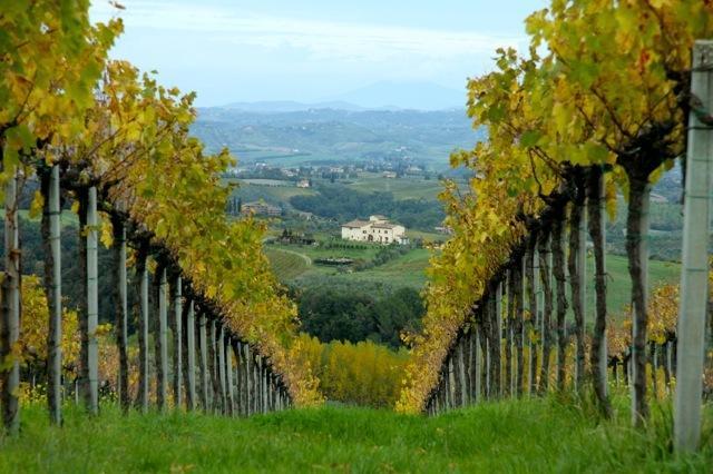 Agriturismo Podere La Marronaia Σαν Τζιμινιάνο Εξωτερικό φωτογραφία